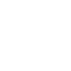 application (1)